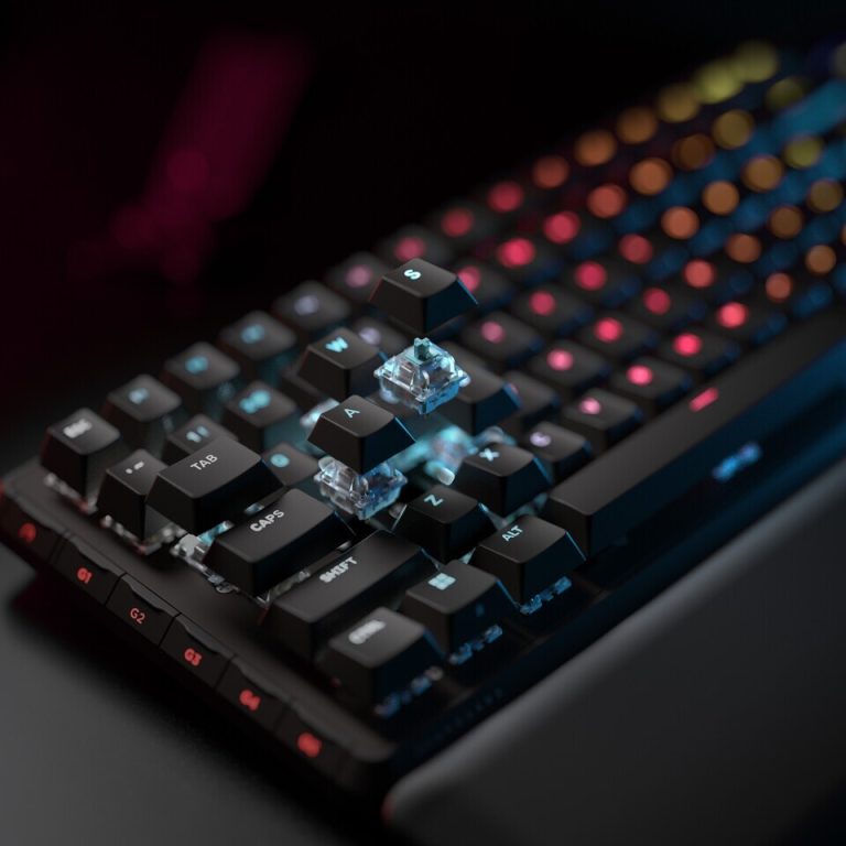 v428drhQquuorbQJ