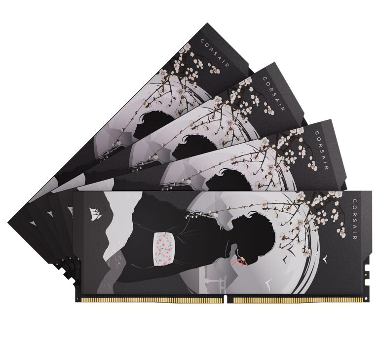 Оперативная память Corsair SHUGO