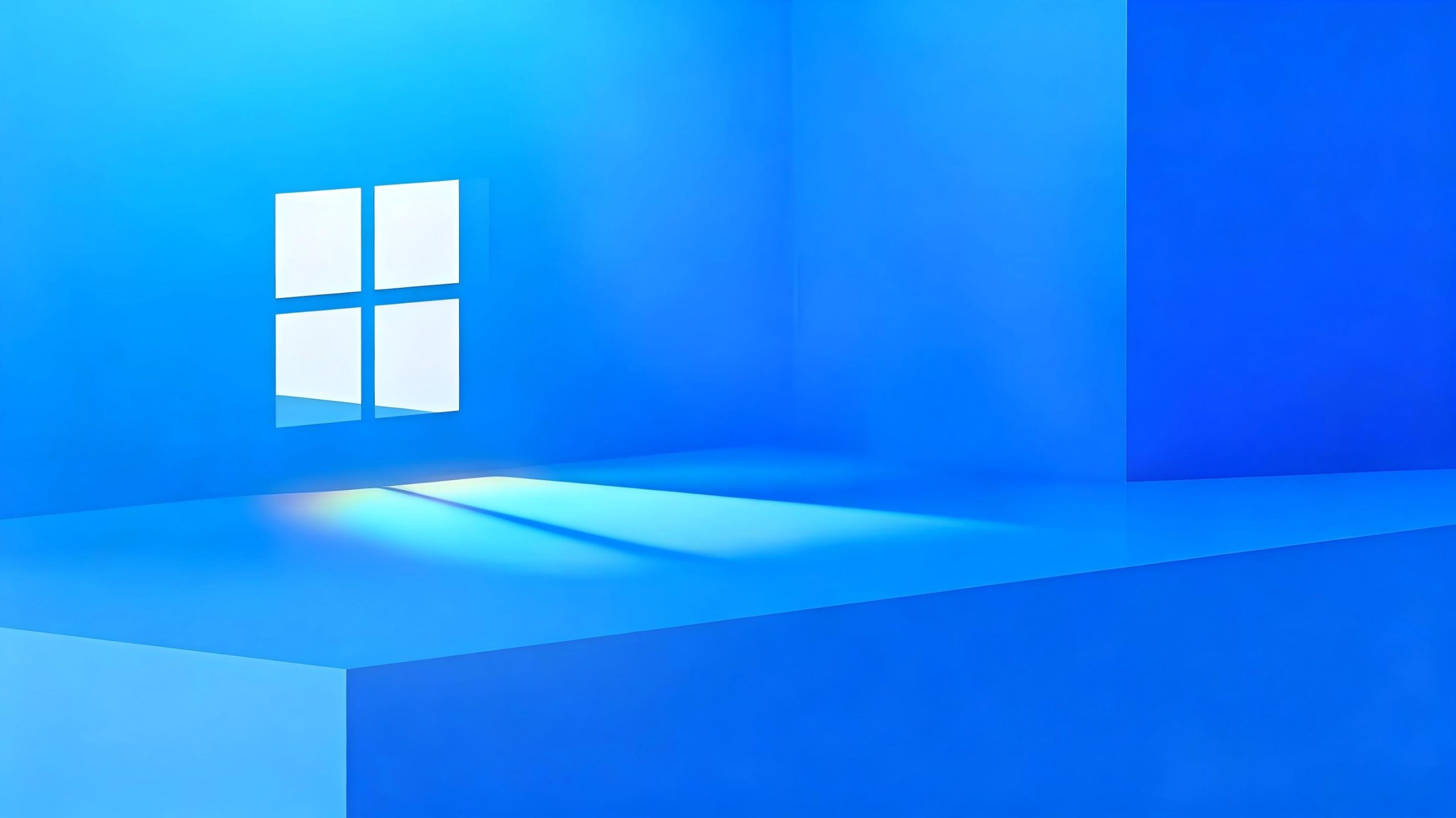 Windows 11